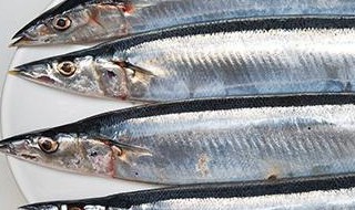 沙丁鱼和秋刀鱼的区别是什么 沙丁鱼与秋刀鱼的区别