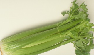 西芹是什么 西芹是什么样的