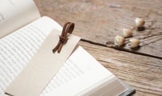 石生花和生石花的区别是什么 什么叫石生花