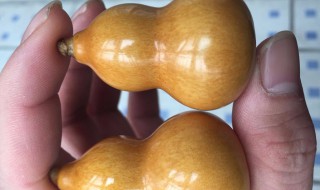 文玩葫芦怎么处理（文玩葫芦怎么处理才好）