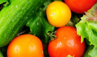 薜荔果和木莲果的区别是什么 木莲果和薜荔果图片