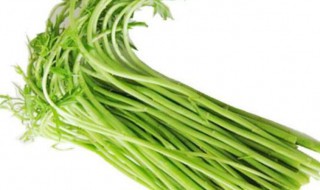 芦蒿和茼蒿的区别是什么 芦蒿和茼蒿的区别是什么意思