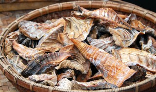 痛风能吃玉兰片吗 痛风能吃芋头花吗