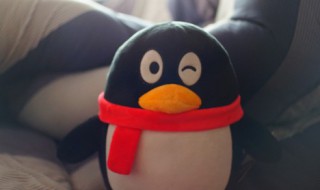 qq主题怎么设置自己的照片(qq主题如何设置自己的照片)