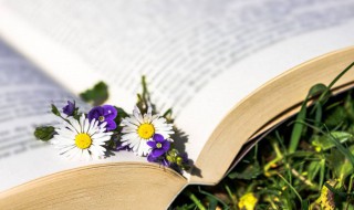 又温柔又仙的网名 又温柔又仙的网名女