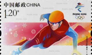 2022年北京冬奥会举办城市 2022年北京冬奥会城市志愿者形象大使