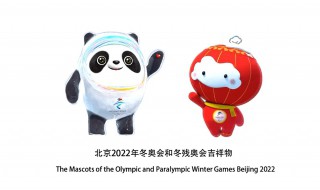 北京2022年冬残奥会吉祥物（北京2022年冬残奥会吉祥物的名字是）