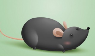 2022年哪个属相财运最好（2022年财运好的星座）