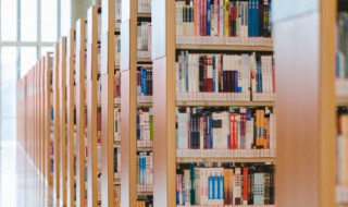 鹬蚌相争的译文（鹬蚌相争的译文和意思）