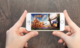 我的世界海龟蛋怎么孵化 我的世界海龟蛋怎么孵化得更快?海龟吃什么怎么繁殖?