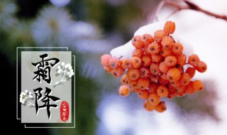2021霜降节气怎么计算（2021年霜降节气）