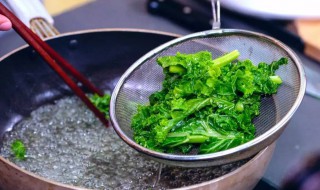 羽衣甘蓝要焯水吗（羽衣甘蓝要焯水吗几分钟）