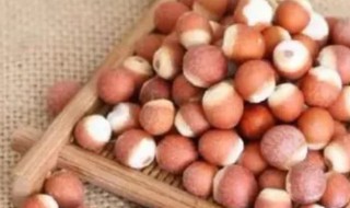 鸡头子是什么 鸡头子是什么人