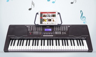 美科电子琴怎么用（美科电子琴琴键）