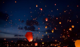 什么的夜（什么的夜鸟）