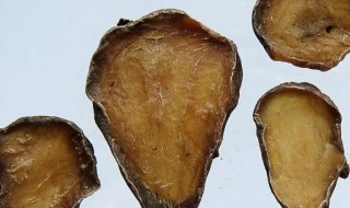 黑顺片是什么（黑顺片是什么中药）