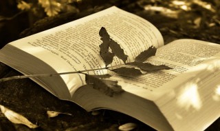 爱自己的签名说说霸气（个性签名爱自己的说说）