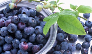 什么是花青素 什么是花青素之王