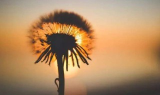 不会烂大街的小众文案（不会烂大街的小众文案长句）