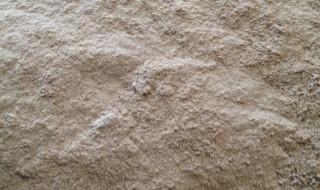 什么是米皮糠 米皮糠是什么东西