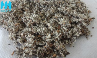 棉籽壳是什么 棉籽壳是什么气味