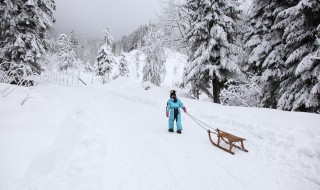 冬奥会50字简介（冬奥会50字简介2022）