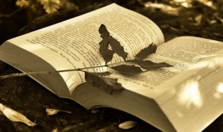 表示女孩独立自信的名字 表示女孩独立自信的名字英文