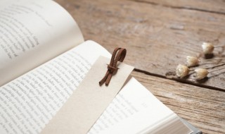 养子防老积谷防饥的意思 古人云养儿防老 积谷防饥