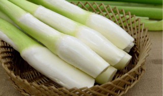 什么菜最下奶 什么菜最下奶最好