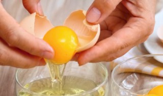 鸡蛋壳算不算厨余垃圾（鸡蛋壳是什么垃圾厨余垃圾）