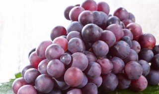 什么的葡萄（什么的葡萄填合适的词）