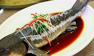 清蒸鲟鱼的做法（清蒸鲟鱼的做法 最正宗的做法）