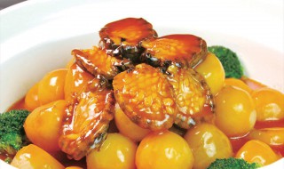 鲍鱼炖土豆做法（鲍鱼炖土豆做法 家常）