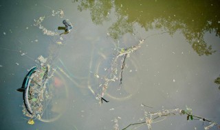 治理水污染的措施 水污染治理