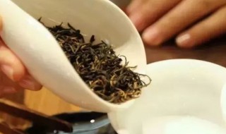 龙舞茶怎么泡（龙茶怎么做）