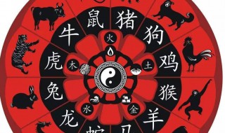 十二生肖2022年运势（十二生肖2022年运势及运程完整）