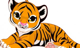 属虎吉祥名字大全（属虎吉祥名字大全男孩）