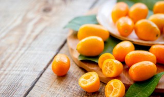 金桔什么品种最好吃 金桔什么品种最好吃排名