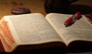 野芳发而幽香而是什么意思 野芳发而幽香的而是什么