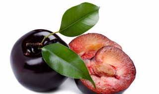 李子和梅子是一种水果吗 李子和梅子是一种水果吗一年级