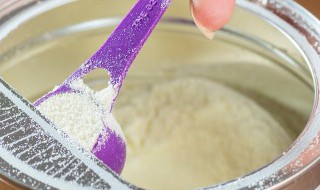 奶粉浇花的正确方法（奶粉浇花的正确方法视频）