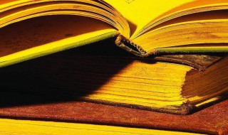 无人会登临意的意思 无人会登临意的深刻含义