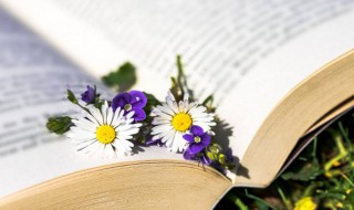 十五夜望月古诗意思及赏析 十五夜望月古诗意思及赏析简短