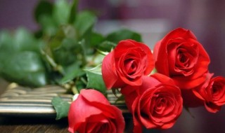 56朵玫瑰花花语代表什么意思（52朵玫瑰花的花语是什么意思）