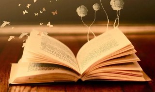 映照着东方的晨曦的映照是什么意思（映照着东方的晨曦的映照是什么意思三年级）