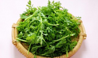 茼蒿是什么季节的菜 茼蒿是什么季节的菜啊