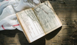 向在文言文中的意思 向在文言文中的意思有没有刚才的意思