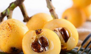 浙江水果特产有哪些（浙江有什么水果特产）