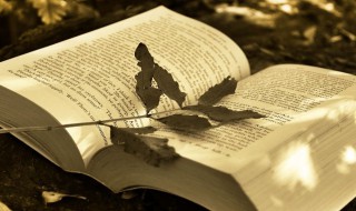 盈盈一握楚宫腰是什么意思（盈盈一握楚宫腰全诗翻译）