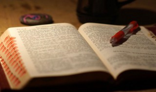 落红不是无情物中的落红是什么意思（落红不是无情物的落红的意思）